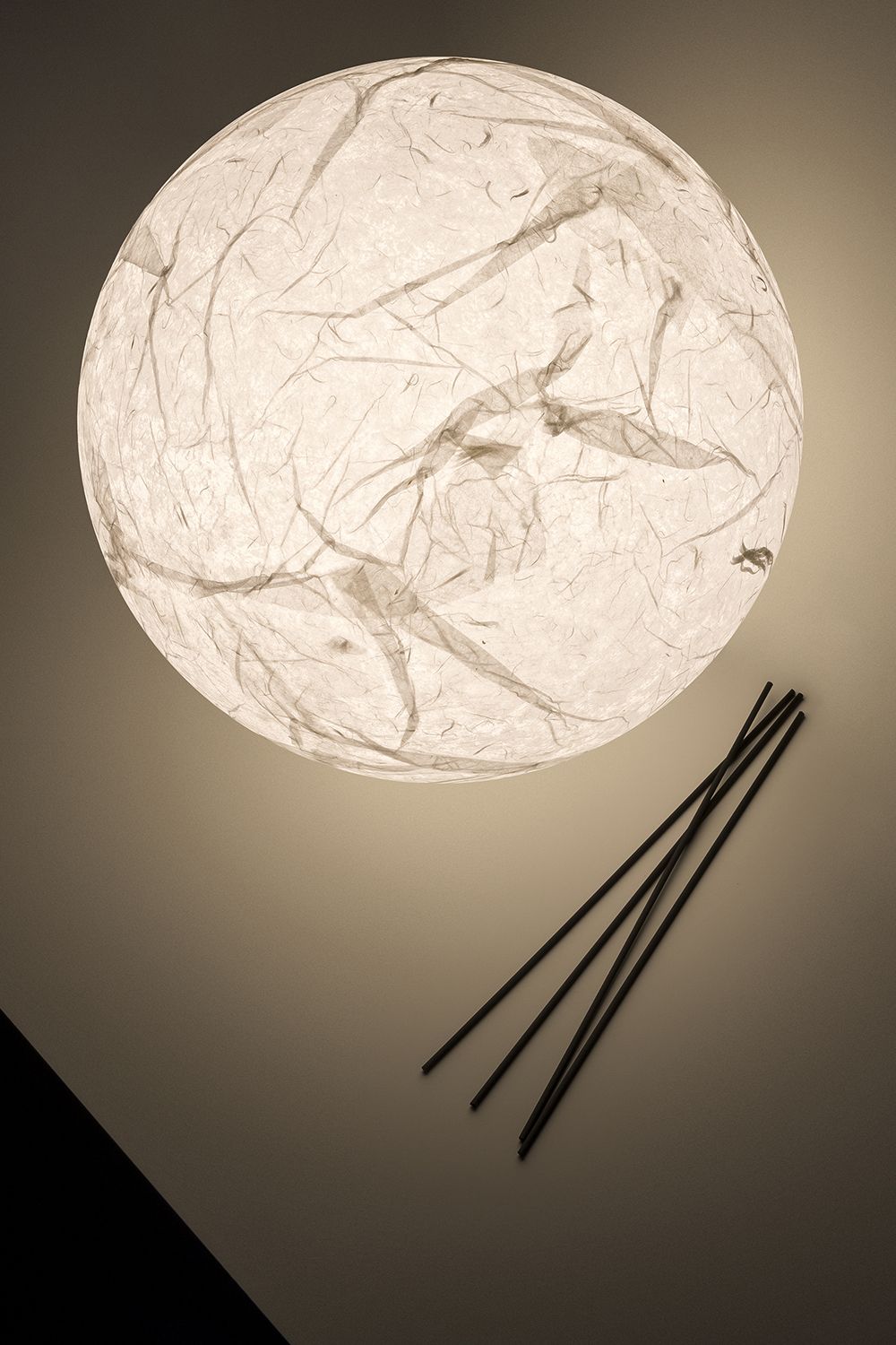 Moon bordlampe sett oevnfra.
