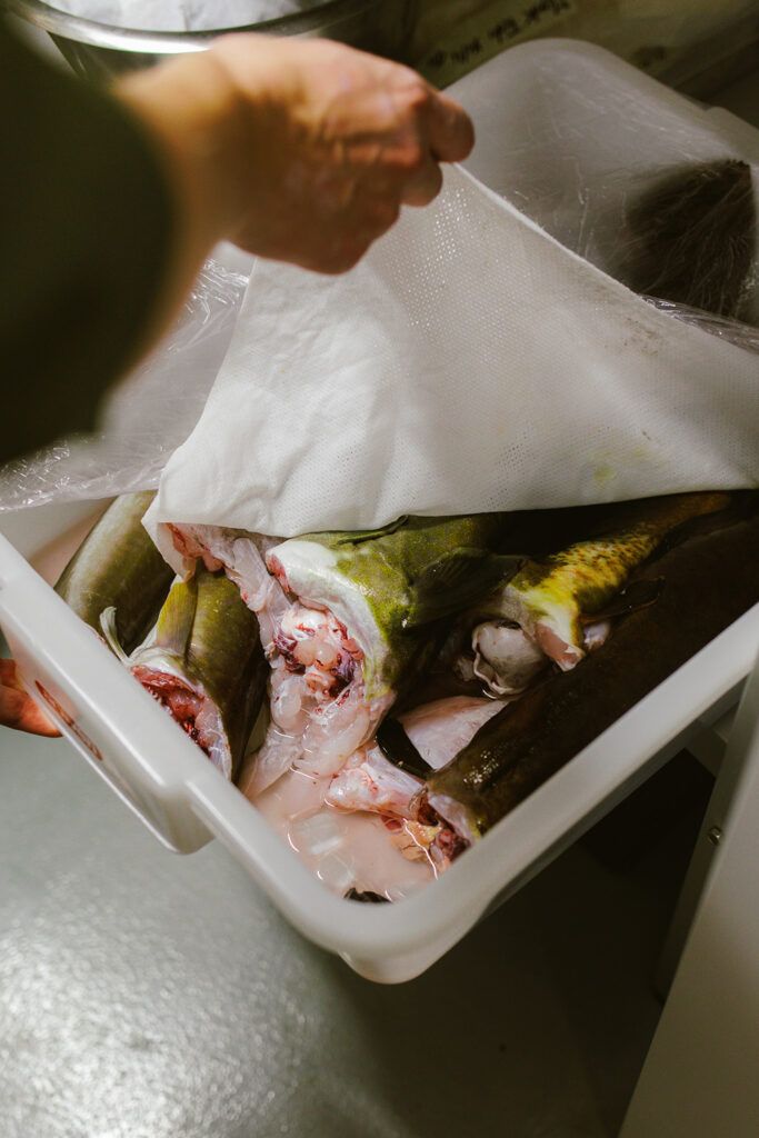 Sløyet fisk i en bakke.